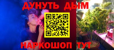 индика Краснознаменск