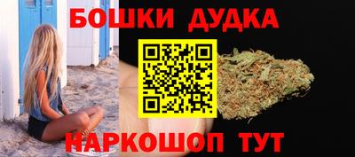 индика Краснознаменск