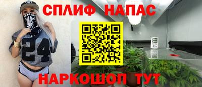 индика Краснознаменск