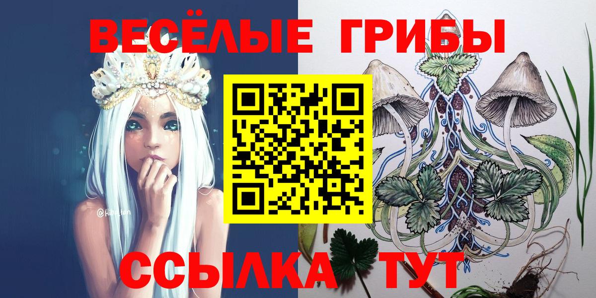 Галлюциногенные грибы Psilocybine cubensis Калач-на-Дону